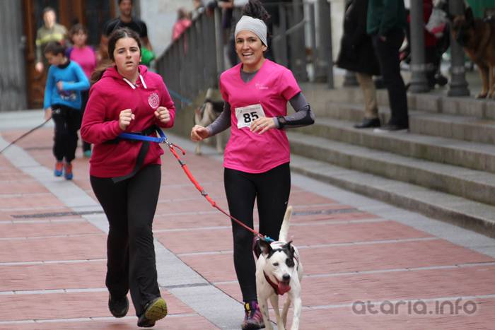 txakur krosa tolosa 2016 19 1458498838026