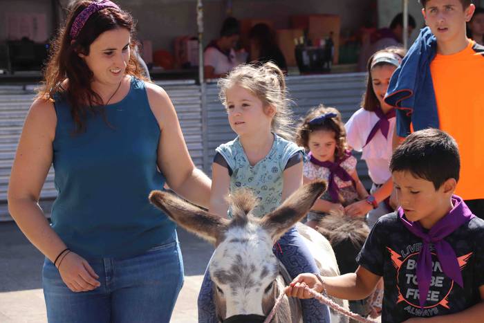 Festak hasteko, poniak eta z 10 1566993970491