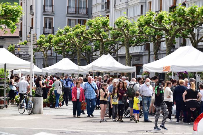 Lore eta Landare azoka Tolos 45 1652529033683