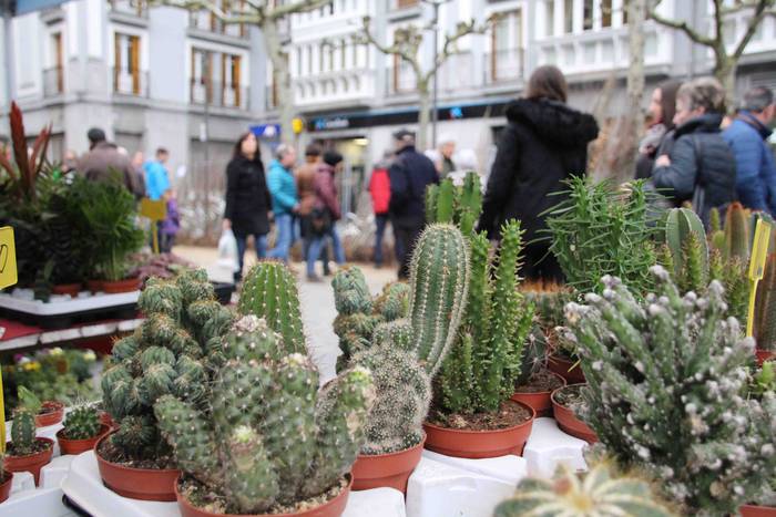 Erein eta zaintzearen magiak 7 1581165926479