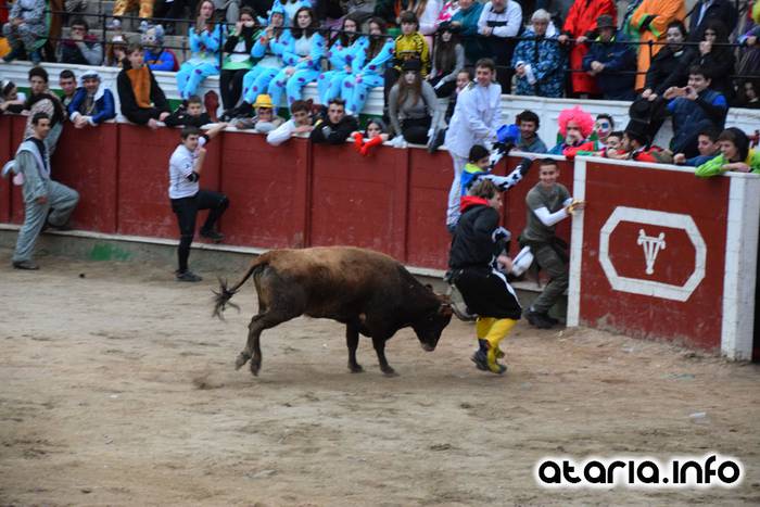 Pattar zezena 2016 16 1455012386964