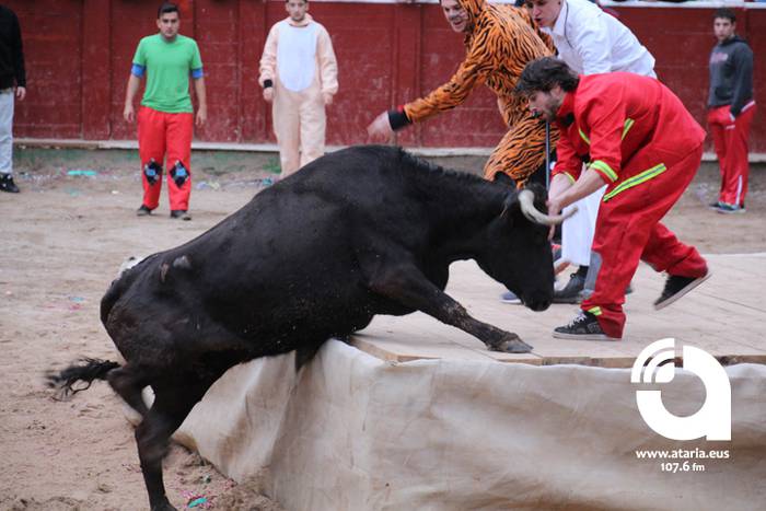 Zezenak adarrak okerrak ditu 19 1488277262583