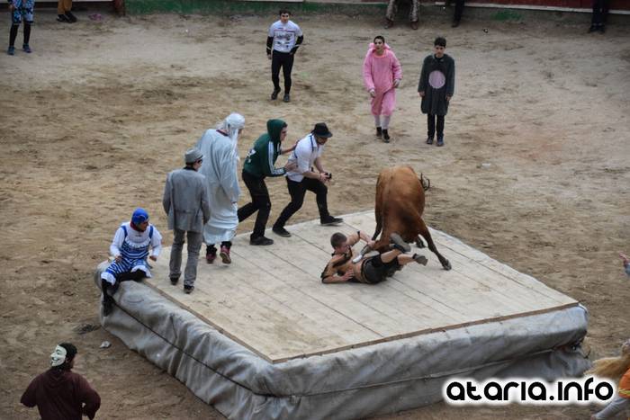 Pattar zezena 2016 54 1455012403447