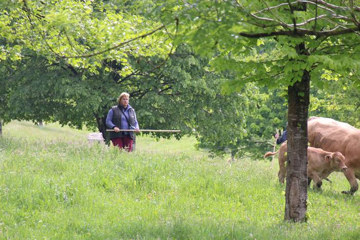 Amasamendiko larreetan bazka 16 1525172890910