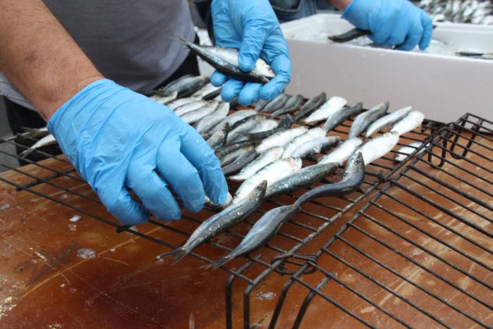 Kukuak jo du, hasi da festa 39 1497468287054