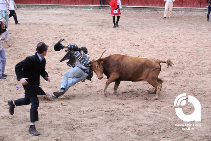 Zezenak adarrak okerrak ditu 41 1488277390458