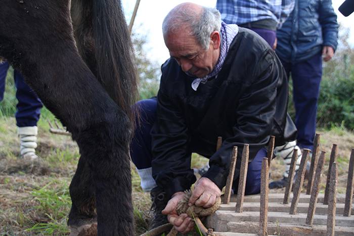 ADUNAKO KULTUR ASTEA 2017. G 5 1511017875441