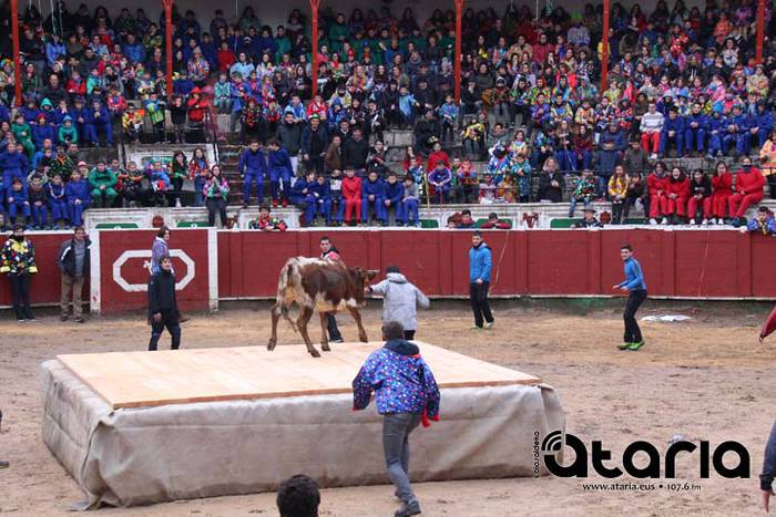 Zezen festarako gogoz 19 1518113812870