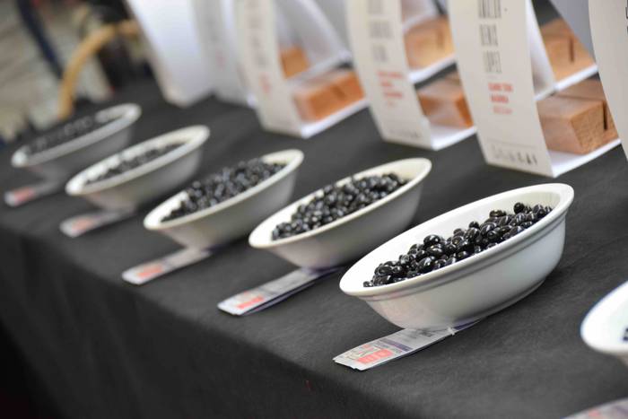 Sebar Garitziarenaren babarr 25 1573912542340