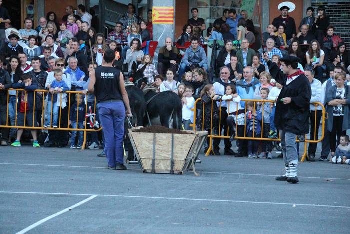 Gazteak nagusi, ximaurra gar 27 1507490562007