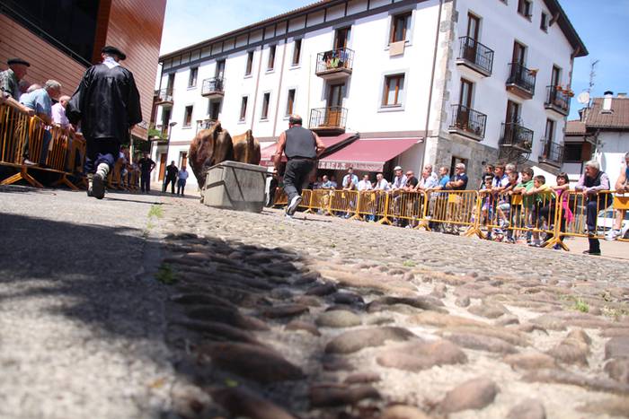 Idi erakustaldia Asteasuko p 15 1494859875434