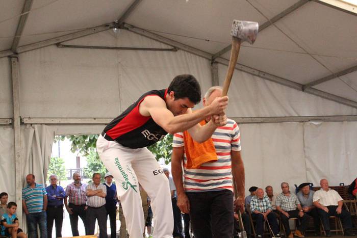 Asteasuko Festak 2016-Erretirodunen Eguna 14 1467297717571