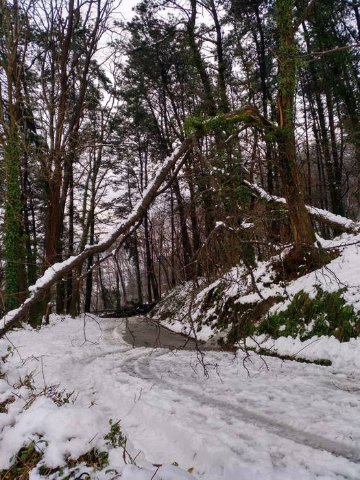 Elkartasun uholdea, elurtea  20 1515430032668