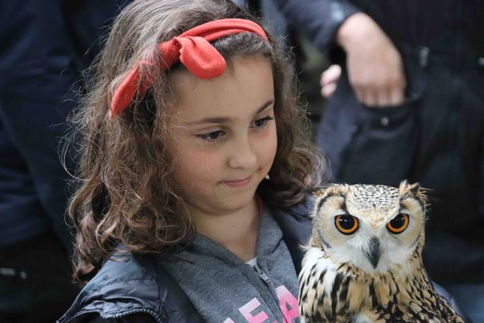 VIII. Udaberriko Azokaz goza 12 1558278830449