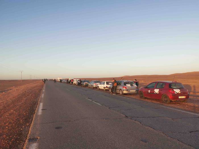 Basamortuaren erdian, helbur 4 1638889768394