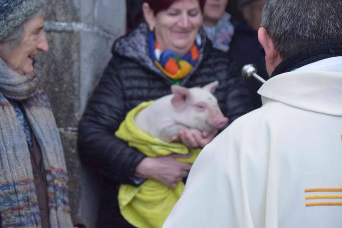 Animaliek jaso dute San Anto 16 1547722520619