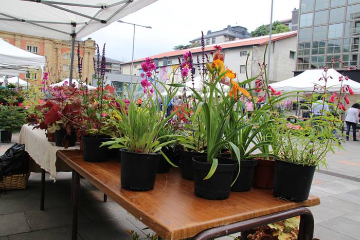 Lore eta Landare Azoka Tolosan 2016 26 1465051791675