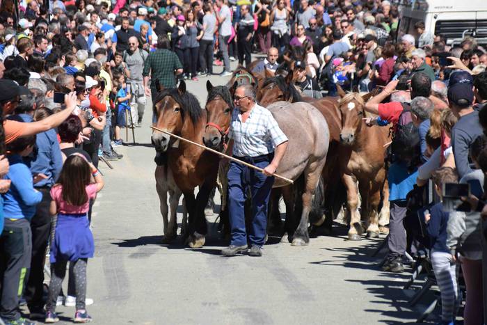 Larrerati dituzte abereak Ar 47 1556716314938