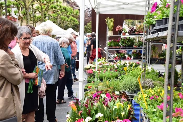 Lore eta Landare azoka Tolos 12 1652529026457