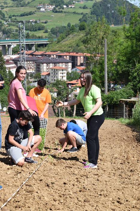 Piper landaketa Ibarran, 201 30 1494844443148