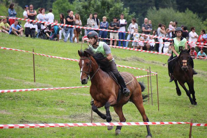 Zaldien gainean lehian 31 1497207287978