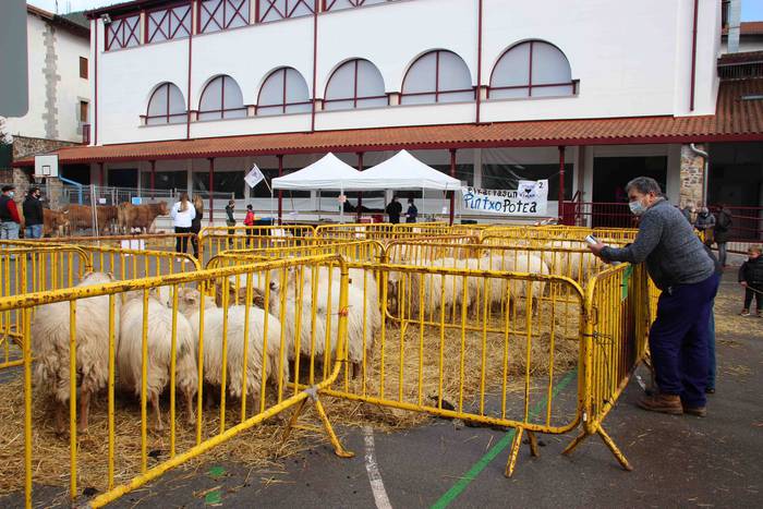 Berastegiko gaztarik onena A 53 1608397940884