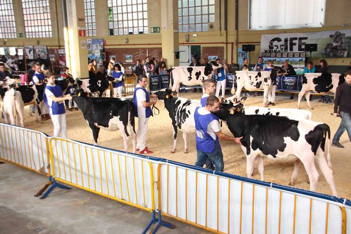 X. Euskal Herriko Frisoi Txa 10 1542479472438