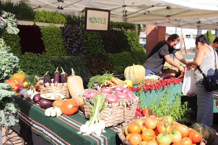 "Ibarra, Azoka eta Piparra" 50 1537103177309