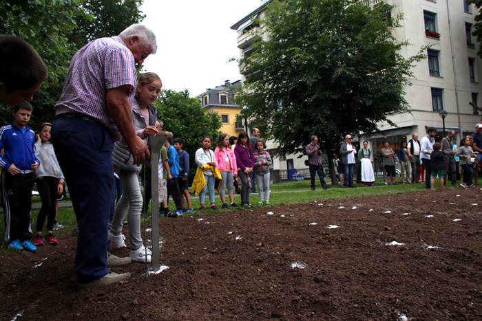 Aurtengoa, biolinak gozatua 19 1497265045822