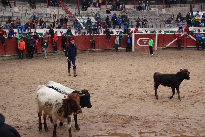 Txaranga eta zezenak piñata  3 1488738735166