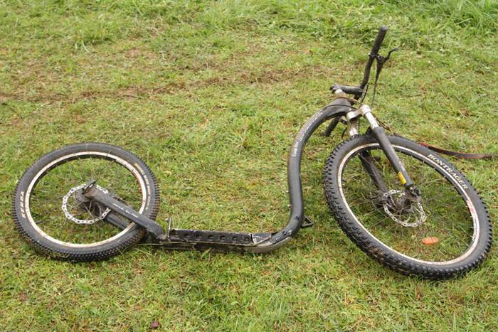 Zizurkil, txakur krosa 22 1490473934690