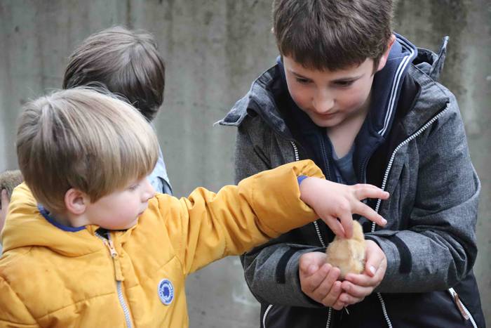 VIII. Udaberriko Azokaz goza 41 1558278845438