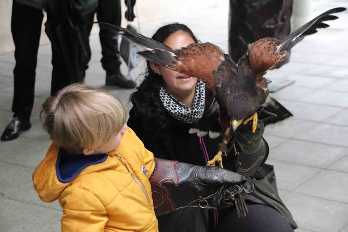 VIII. Udaberriko Azokaz goza 35 1558278842237