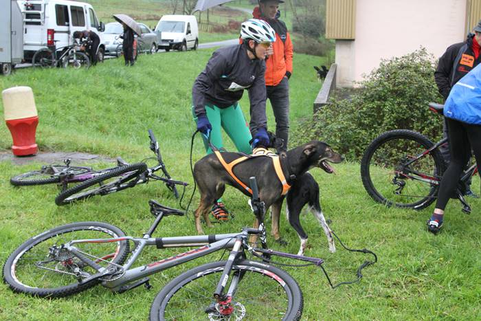 Zizurkil, txakur krosa 3 1490473821766