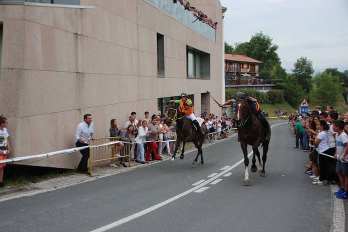 Zaldi gainean lasterka Abalt 17 1498413116120