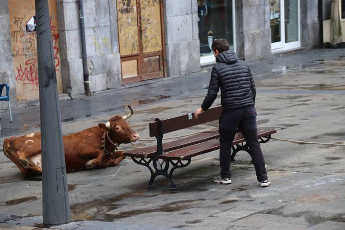 Zezenaren aurrean korrika 1 1551703365985