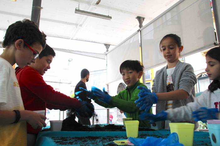 Babarruna ereitea 2018 12 1529058863829