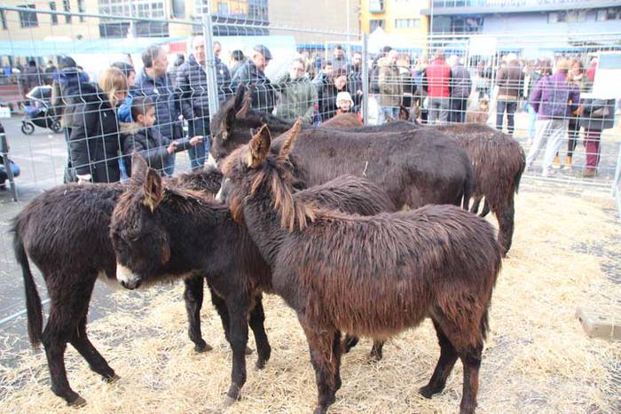 Tolosako Gabonetako azoka be 96 1514054504370