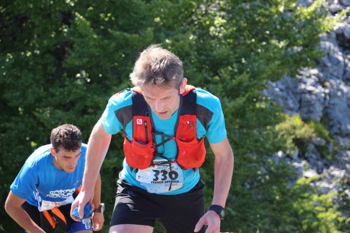 T3T, Hernio 2019 14 1560687980476