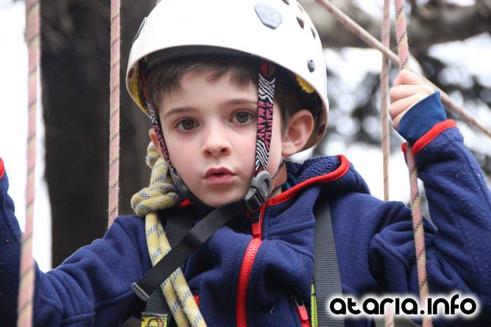 inauteriak 2016 zaldunita karrozak 247 1454866282604