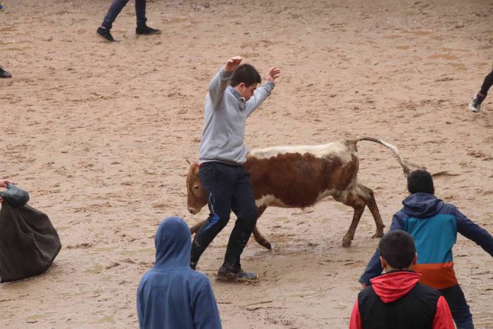 Txikienak zezen txikien aurr 29 1552240889507