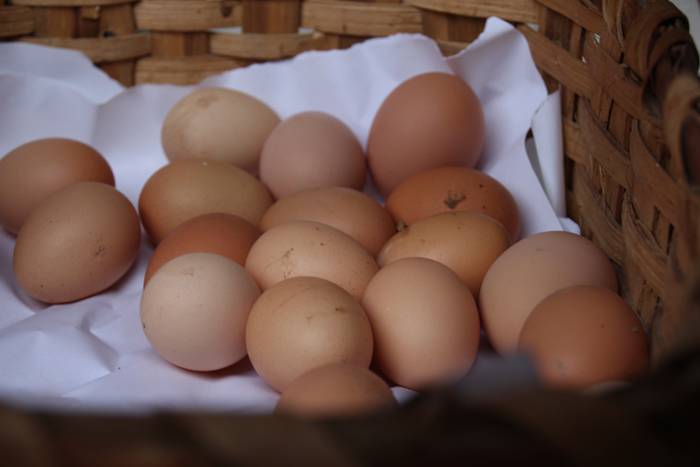 Euripean ere, herritarrentza 18 1506856266389