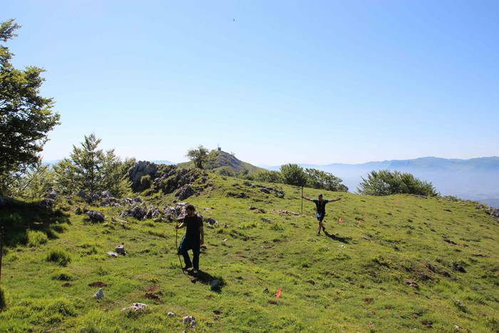 T3T, Hernio 2019 90 1560688451105