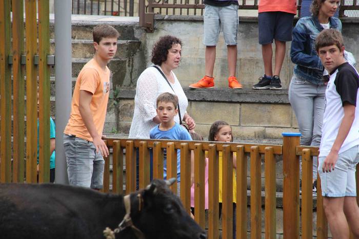 hernialde festak puzgarriak  49 1534160751769