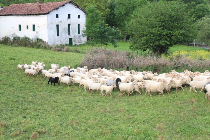 Larre irekiera ekitaldi bere 34 1588336793353