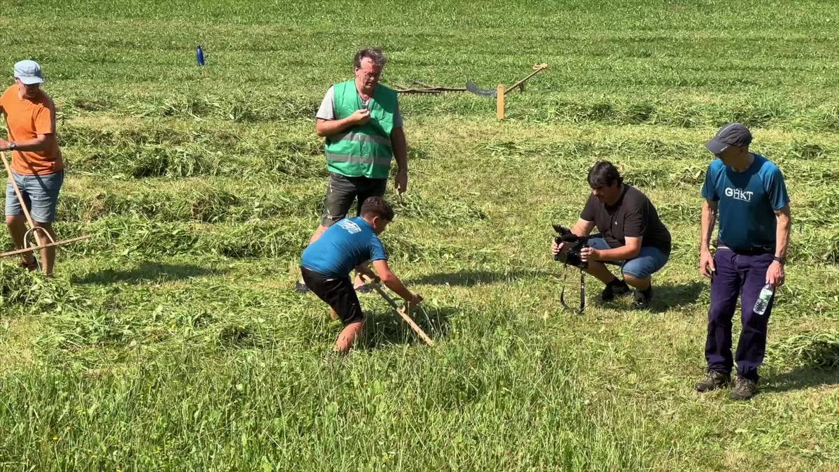 Segalari belaunaldi berria