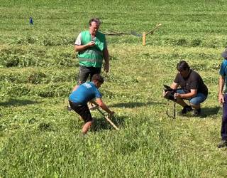 Segalari belaunaldi berria