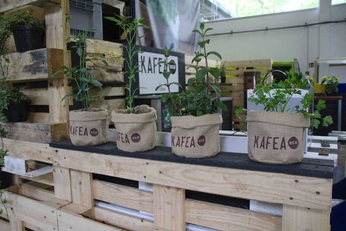 Ingurumena zainduz, kafea bi 34 1621270041665