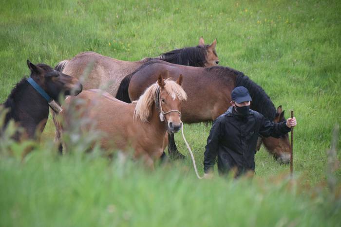 Larre irekiera Berastegi 202 8 1621072168797