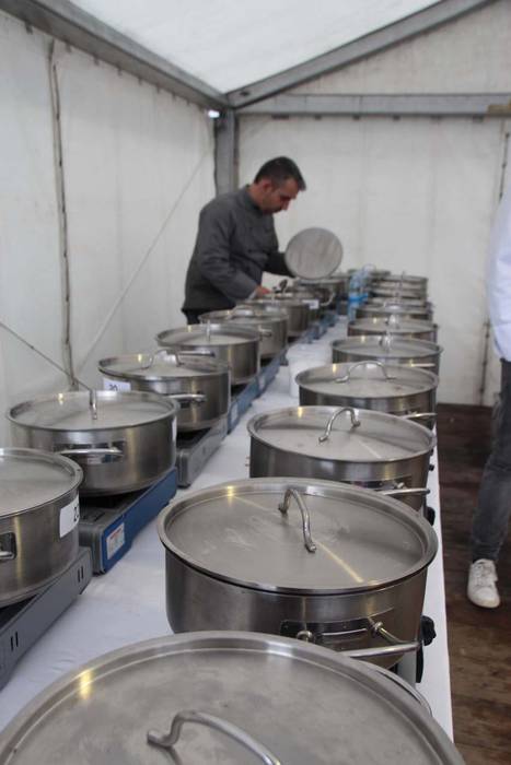 Tolosak Babarruna 44 1448111676638